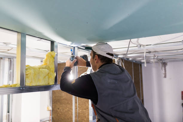 Best Garage Insulation Installation  in Volcano Golf Course, HI