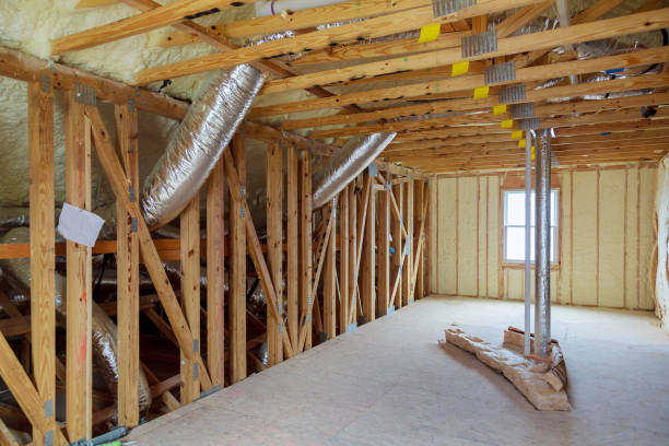 Best Insulation Replacement Services  in Volcano Golf Course, HI