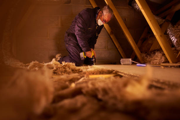 Best Soundproof Insulation Installation  in Volcano Golf Course, HI